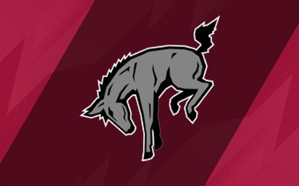 Graphic of Muhlenberg mascot, Marty the Mule, kicking hind legs up in the air.