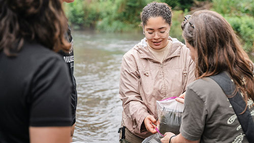College students work with faculty to collect samples in a stream.