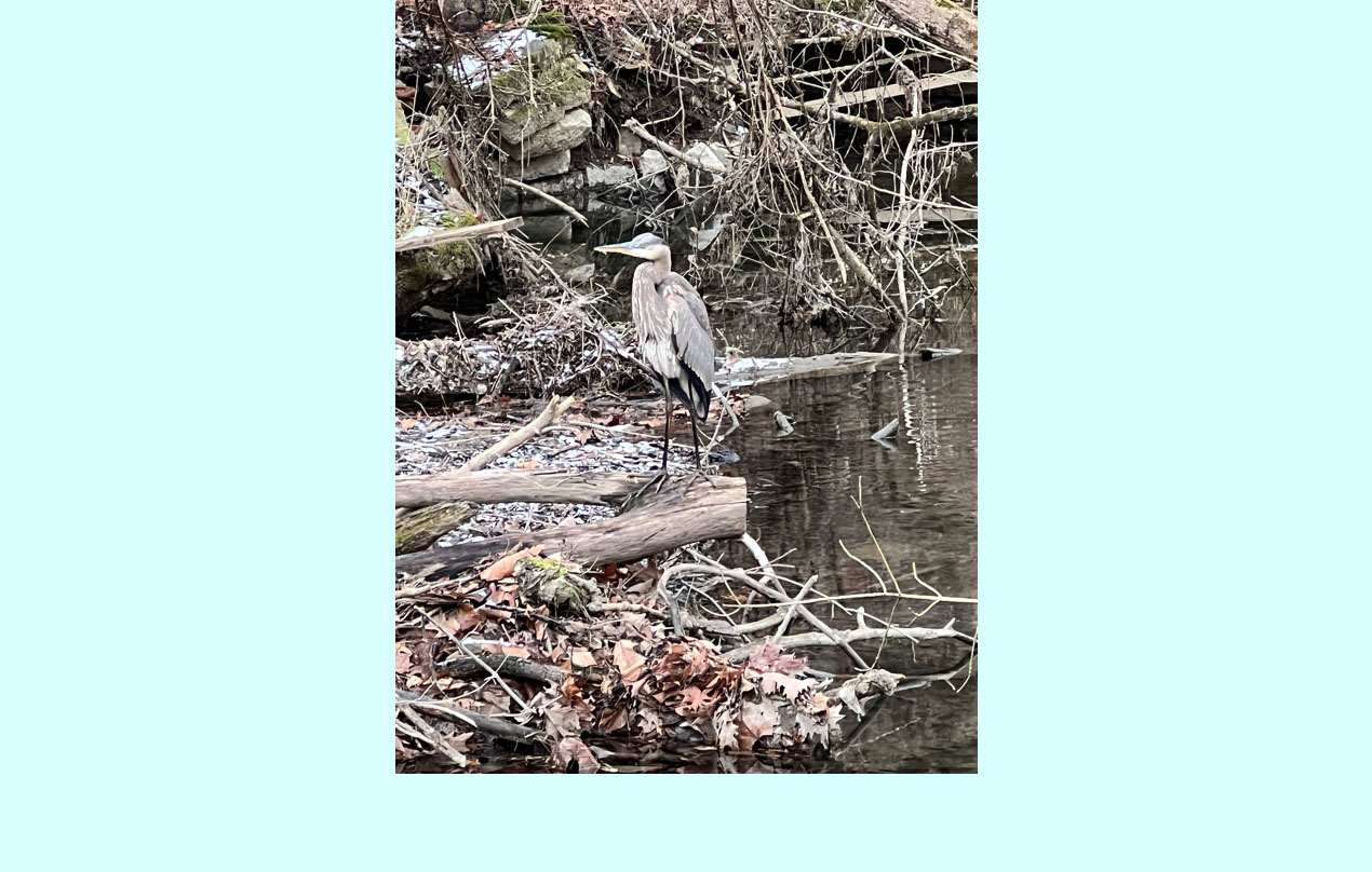 Image for Log off, Unplug and Explore &ndash; near Monocacy Creek in Bethlehem Township (Mental/Emotional)
